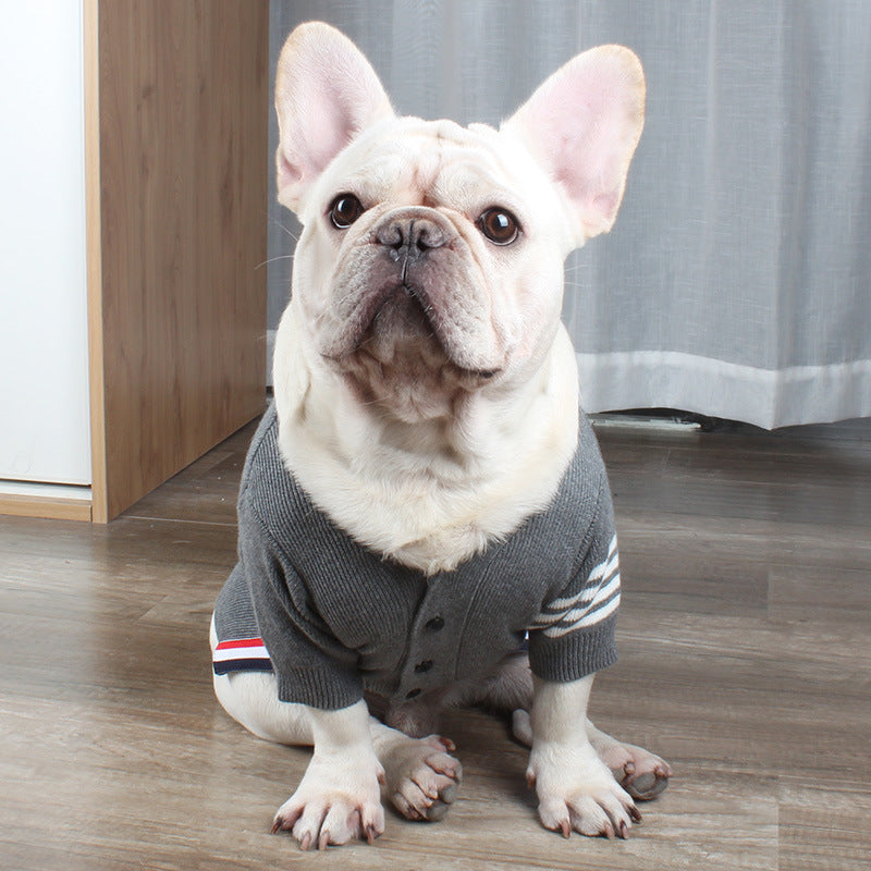 Keep Your Furry Friends Cozy This Holiday Season